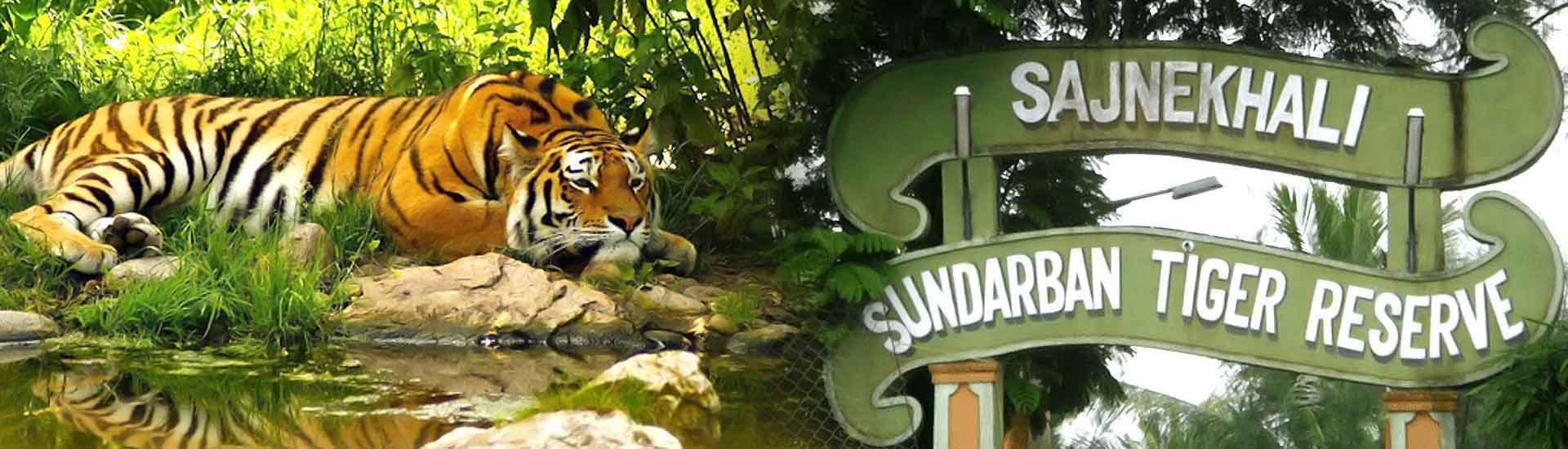 Exploring The Sundarban National Park A Wildlife Adventure