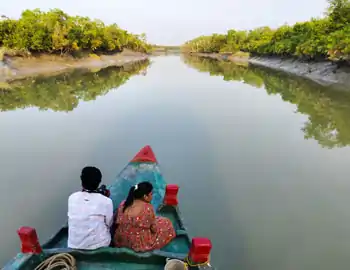 Sundarban tour Package