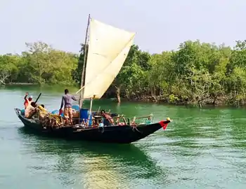 Sundarban tour Package